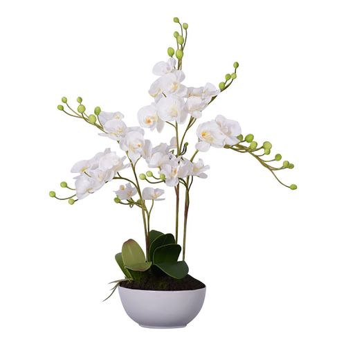 White Orchid Plant in Round Silver Ceramic Pot